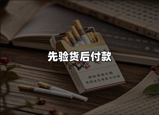 专业优势